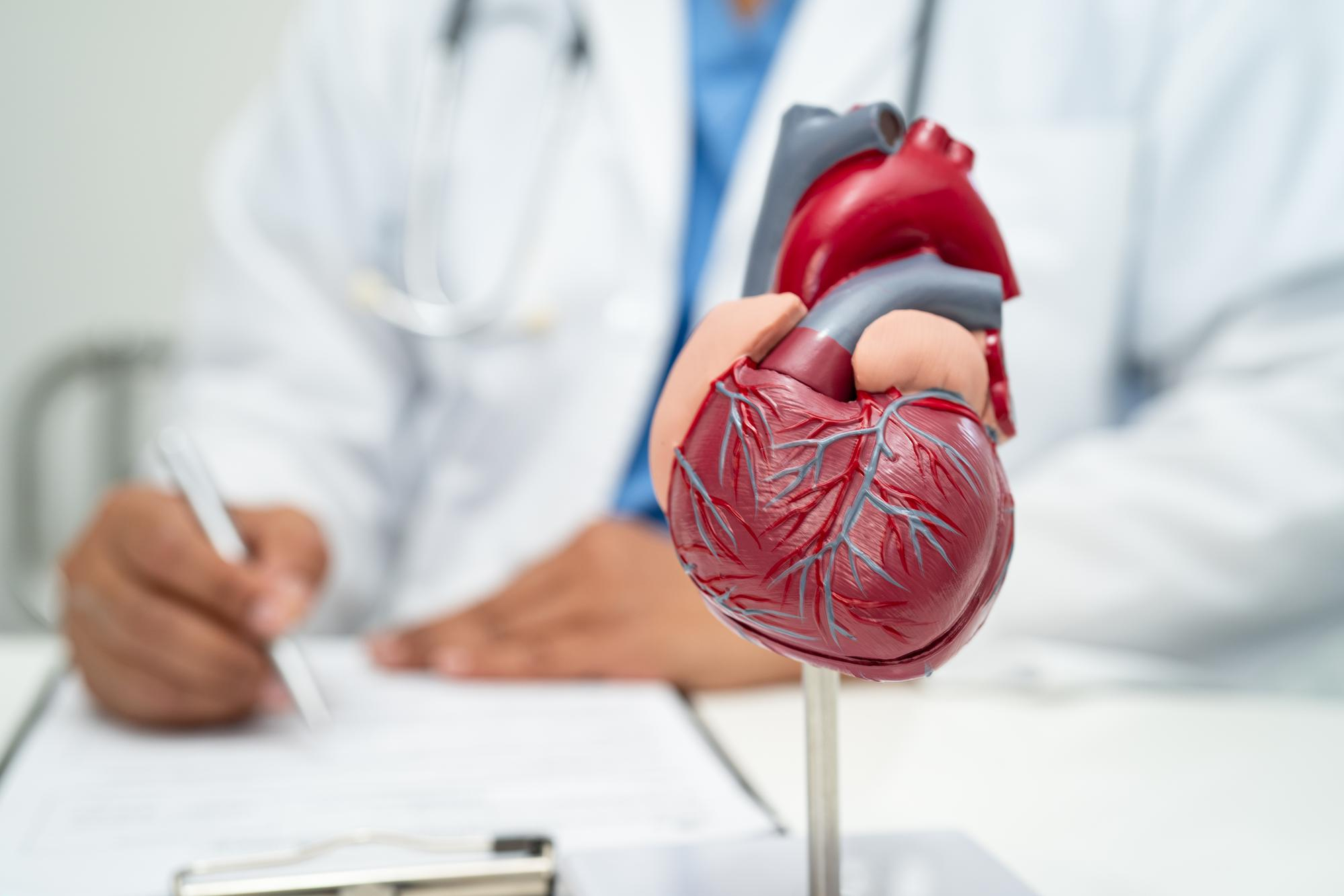 Participa en el 'Mapa Nacional de Indicadores de Salud Cardiovascular y Equidad Asistencial en España'