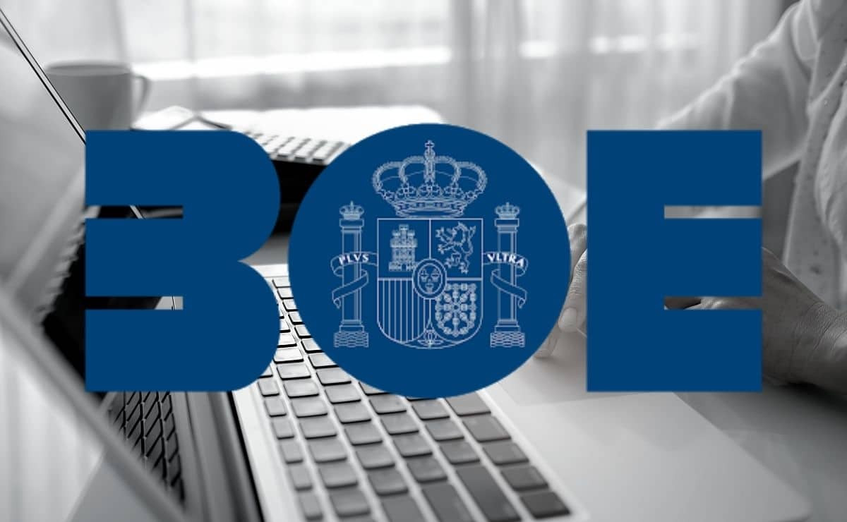 BOE PUBLICA DISPOSICION DEL MINISTERIO DE SANIDAD POR LA QUE SE CREAN DIVERSAS CATEGORIAS